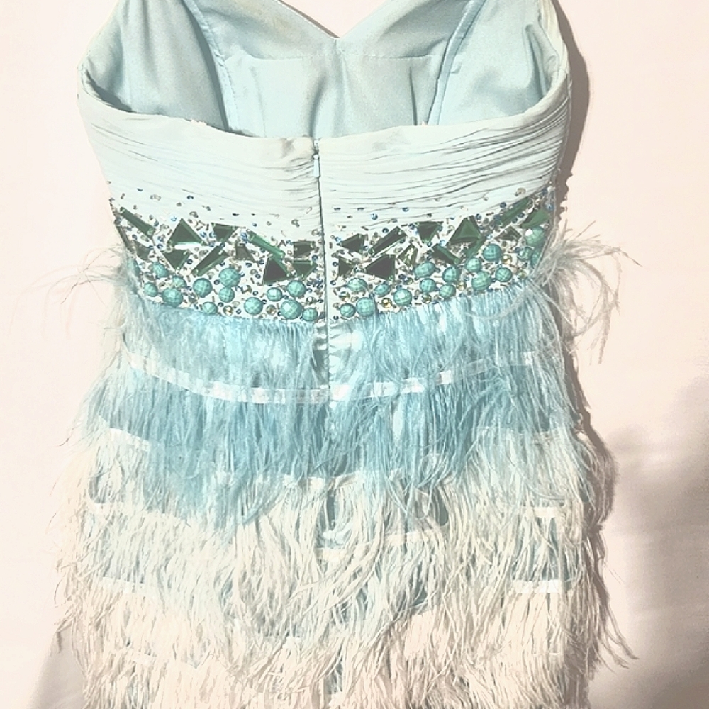 Prom/Formal Dress - Picture 3 of 6